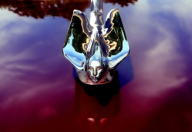Hood Ornament � Dave Hickey